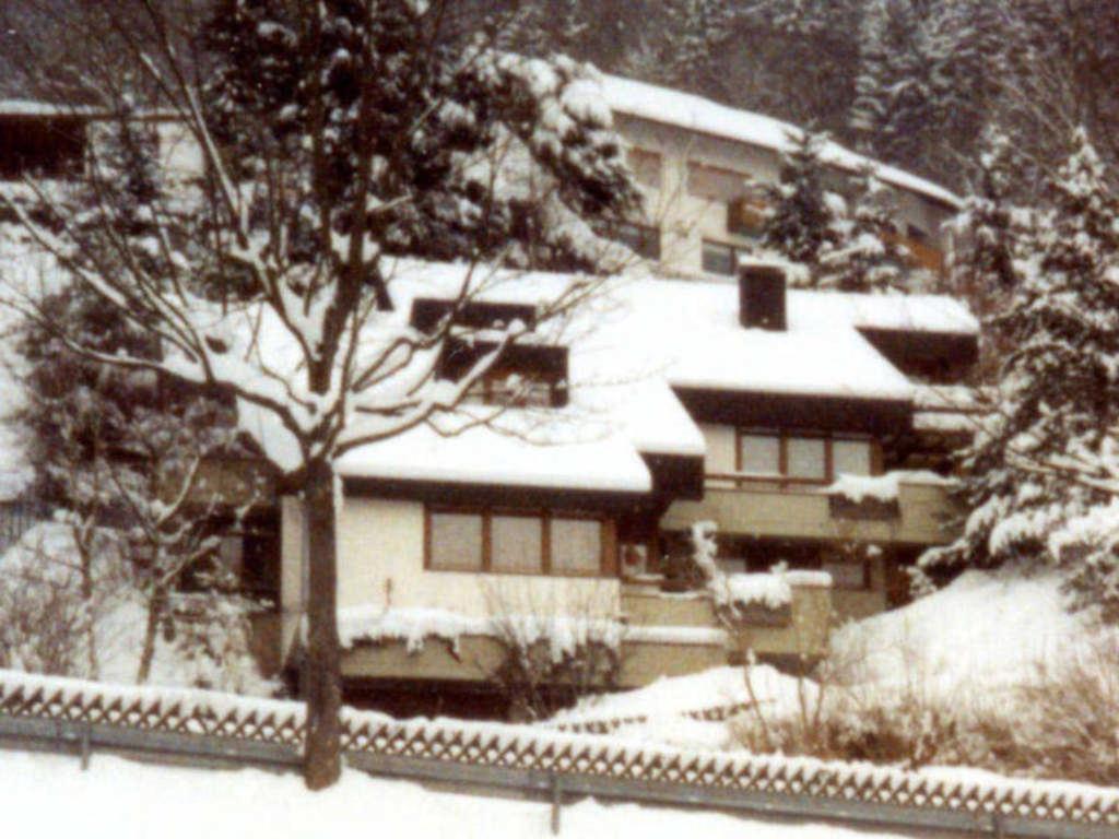 Haus Sonnenhang Apartment Todtnau Exterior photo